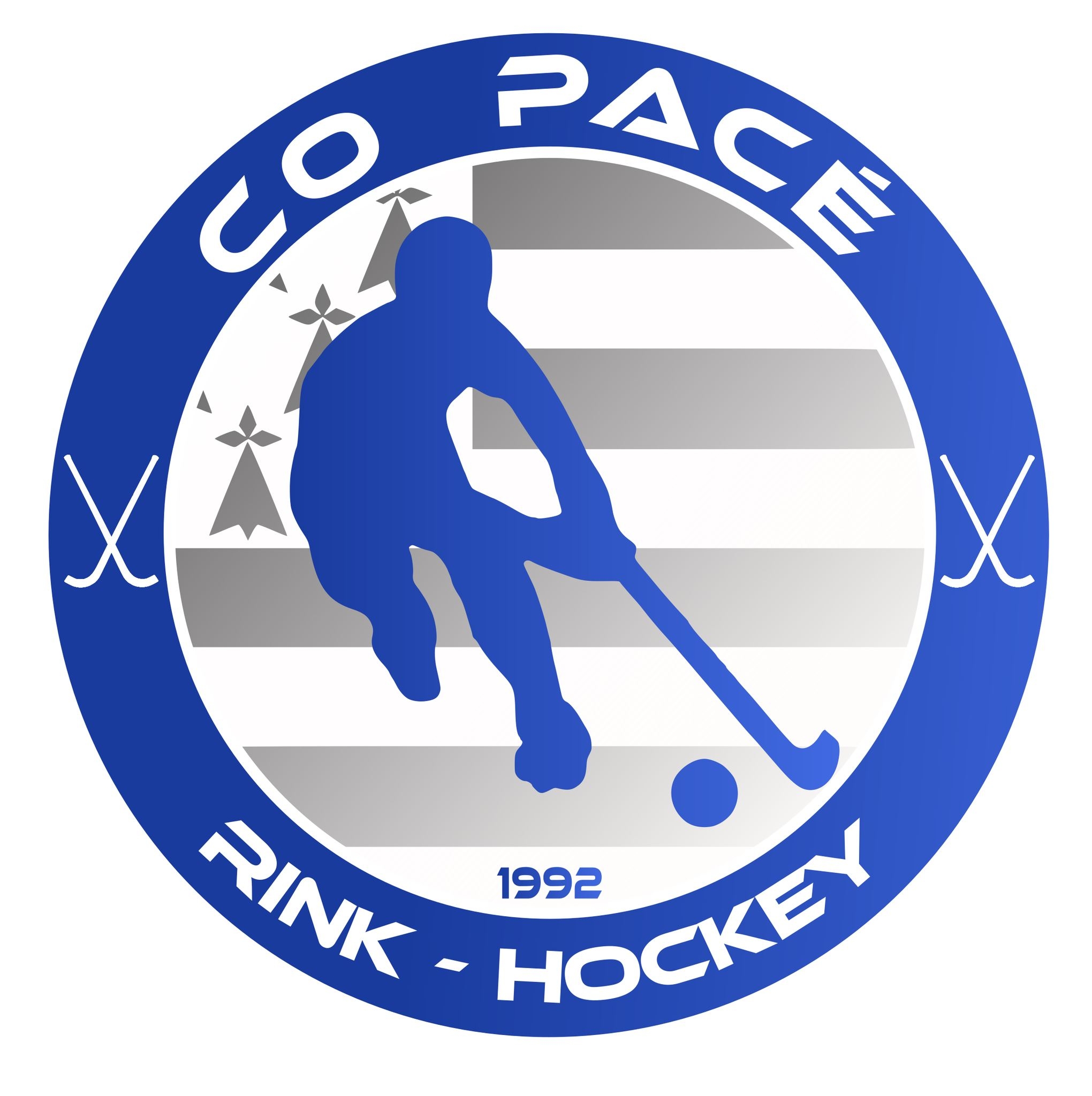 Team logo